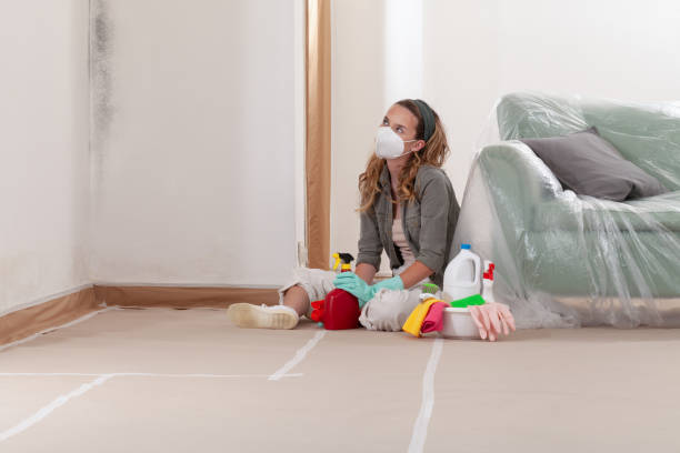 Reliable Mold Remediation contractor in Brownsville, KY by 24 Hour Mold Removal